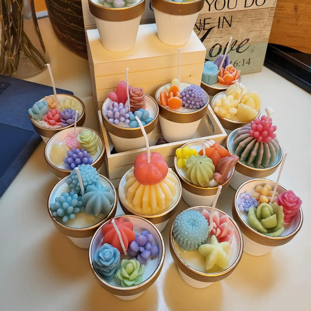 6pcs Succulent Silicone Candle - Candle Making Course recension och pris